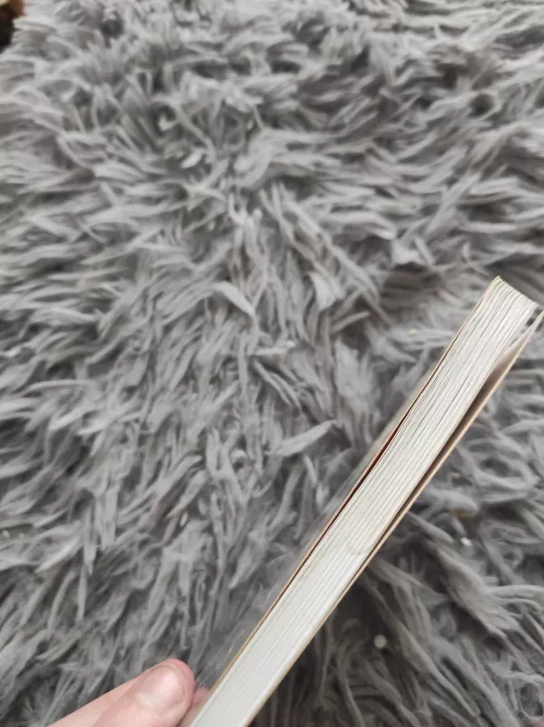 Santuokinės meilės terapija - Valerio Albisetti, knyga 5