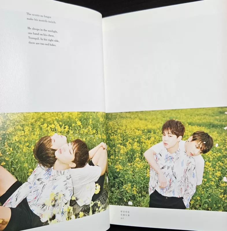 The most beautiful moment in life pt. 1 (pink version) - BTS, plokštelė 6