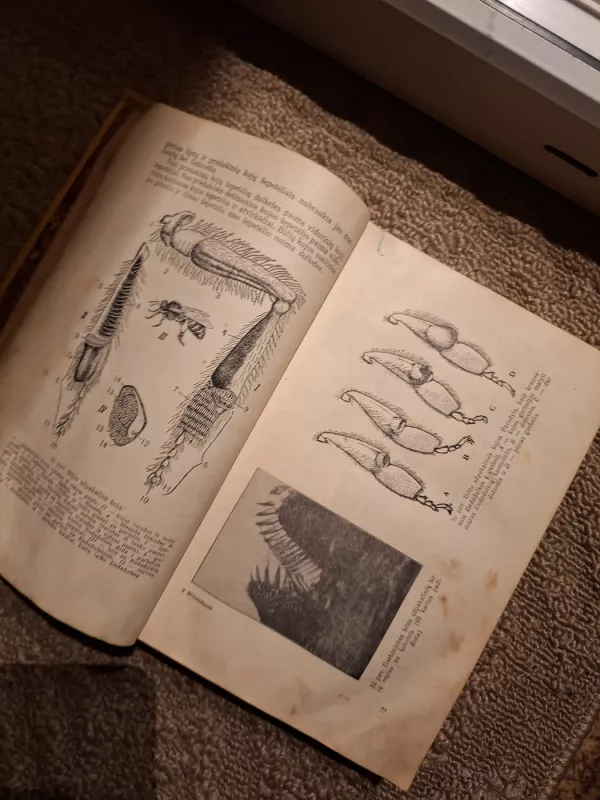 Bitininkystė - Jonas Kriščiūnas, knyga 5