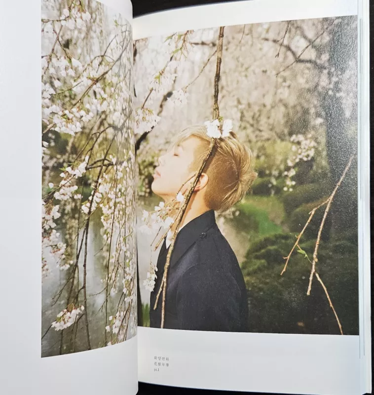 The most beautiful moment in life pt. 1 (white version) - BTS, plokštelė 6