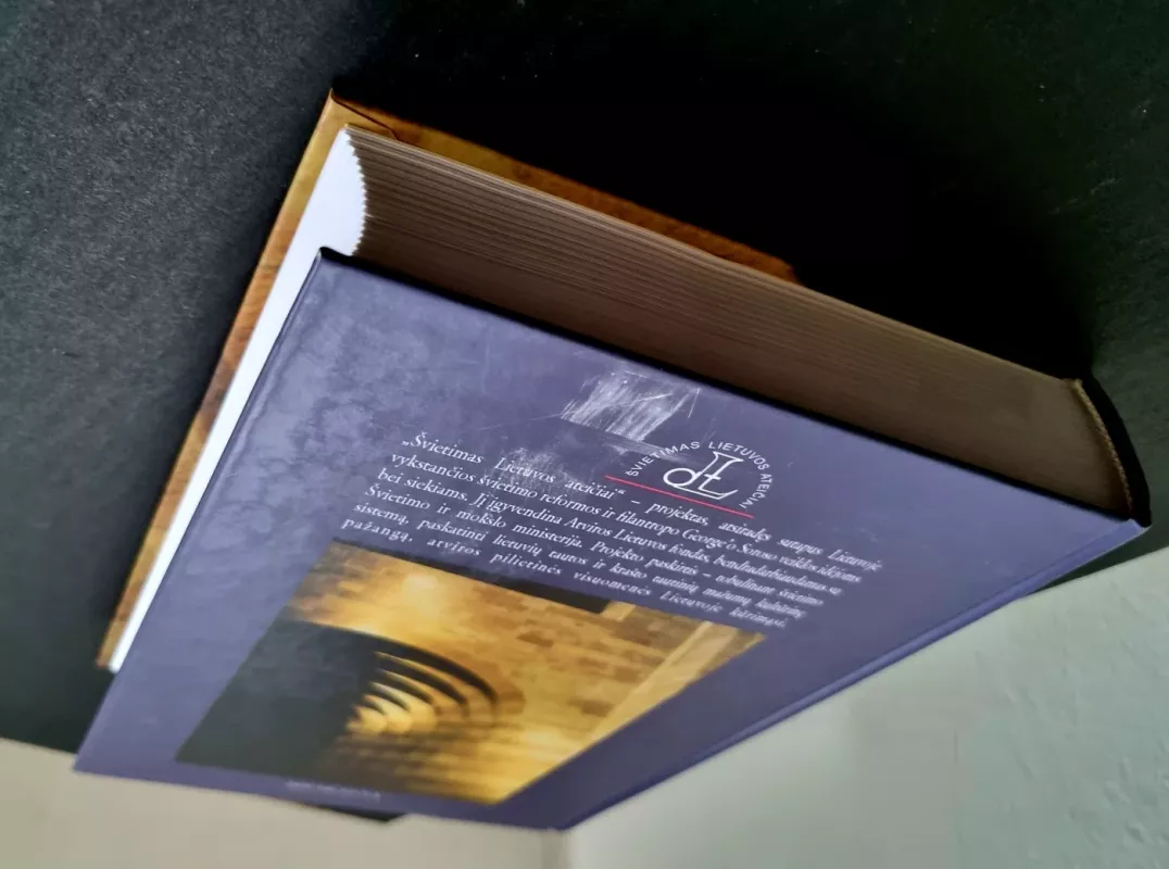 Europos mentaliteto istorija - Peter Dinzelbacher, knyga 6