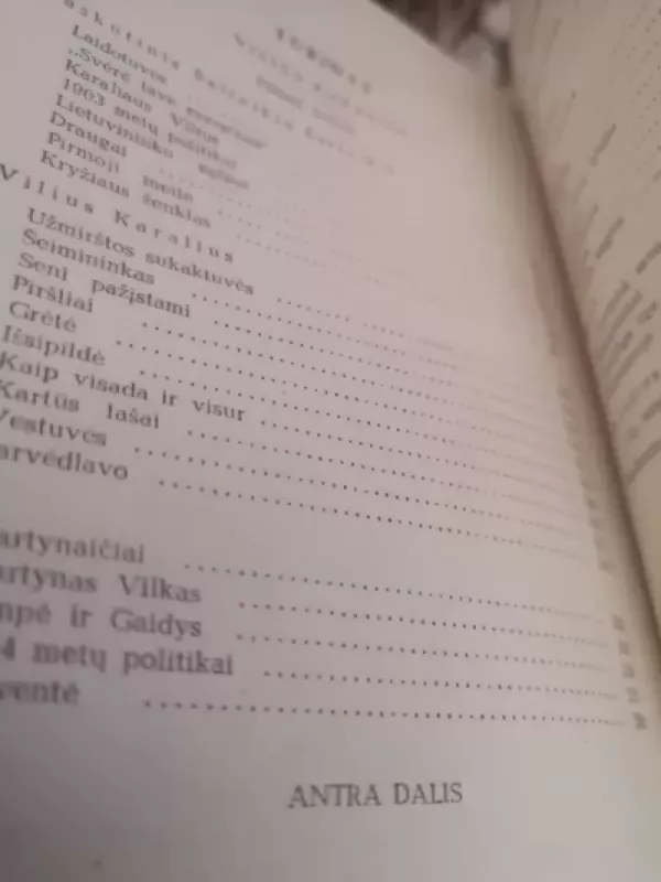 Raštai (4 tomai) - Ieva Simonaitytė, knyga 6