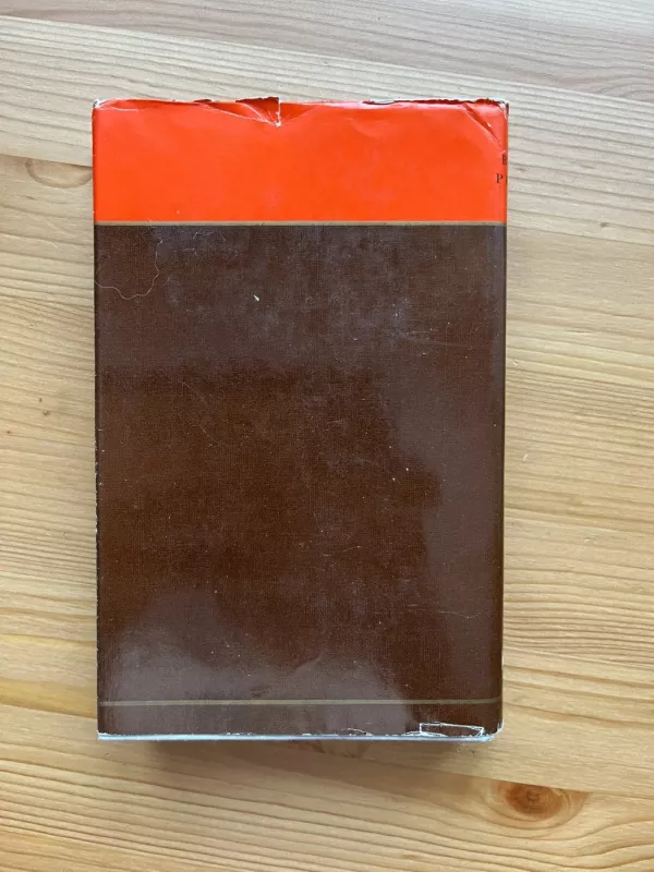 Laikas ir literatūra - Bronius Pranskus, knyga 5