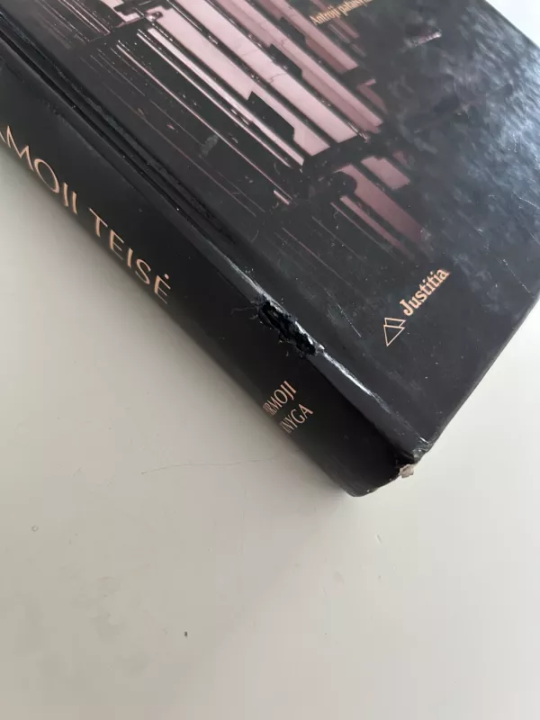 Lietuvos baudžiamoji teisė. Pirmoji knyga - Vytautas Piesliakas, knyga 4