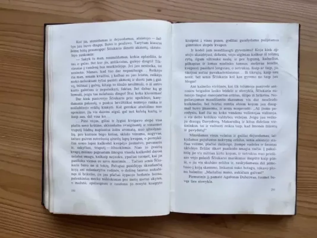 Pakelta velėna 2 t. - M.Šolochovas, knyga 4