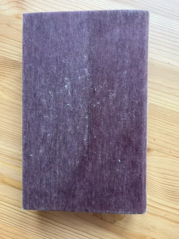 Antanas Maceina raštai III tomas - Antanas Maceina, knyga 5