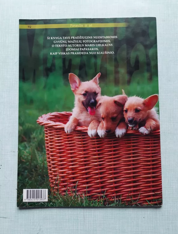 Mažyliai - Keli autoriai, knyga 3