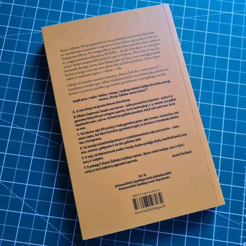 Stasys Šaltoka: vieneri metai - Gabija Grušaitė, knyga 3