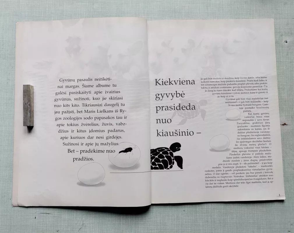 Mažyliai - Keli autoriai, knyga 5