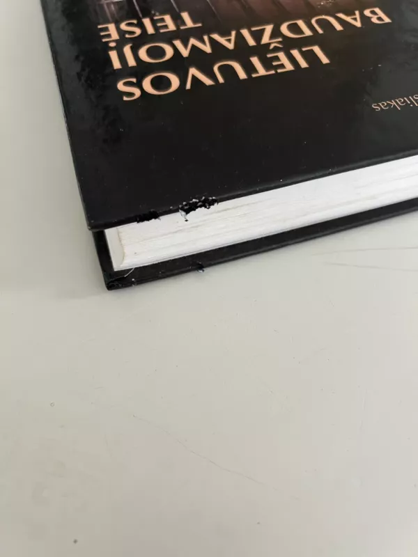 Lietuvos baudžiamoji teisė. Pirmoji knyga - Vytautas Piesliakas, knyga 3