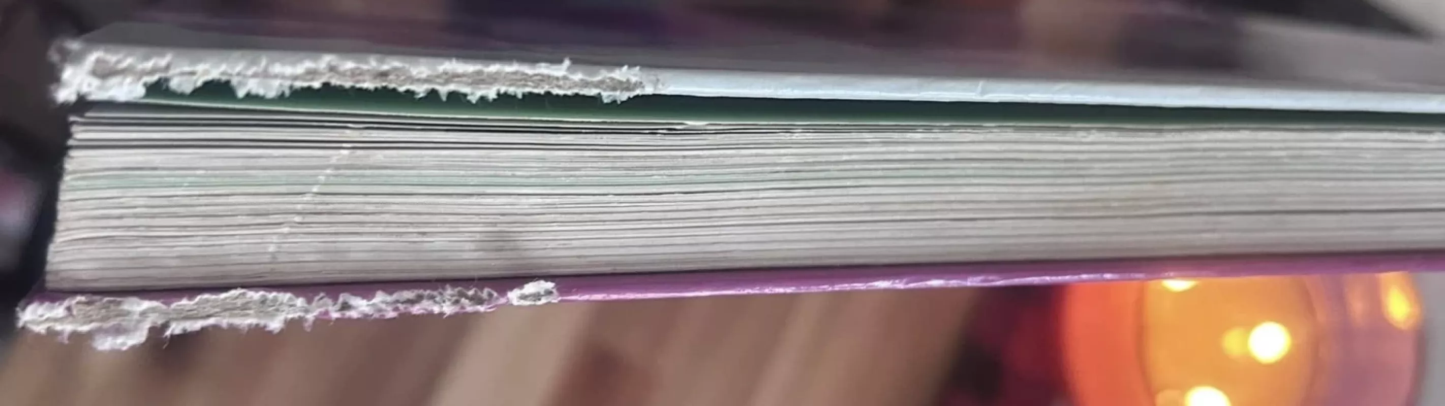 Gėlių knyga. Puikus žinynas - Halina Heitz, knyga 4