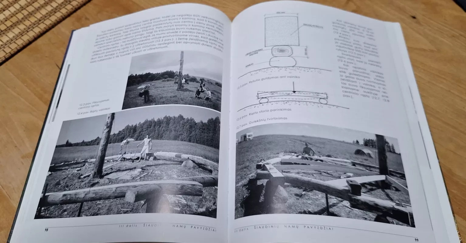 Šiaudiniai namai - Edita Milutienė, knyga 6