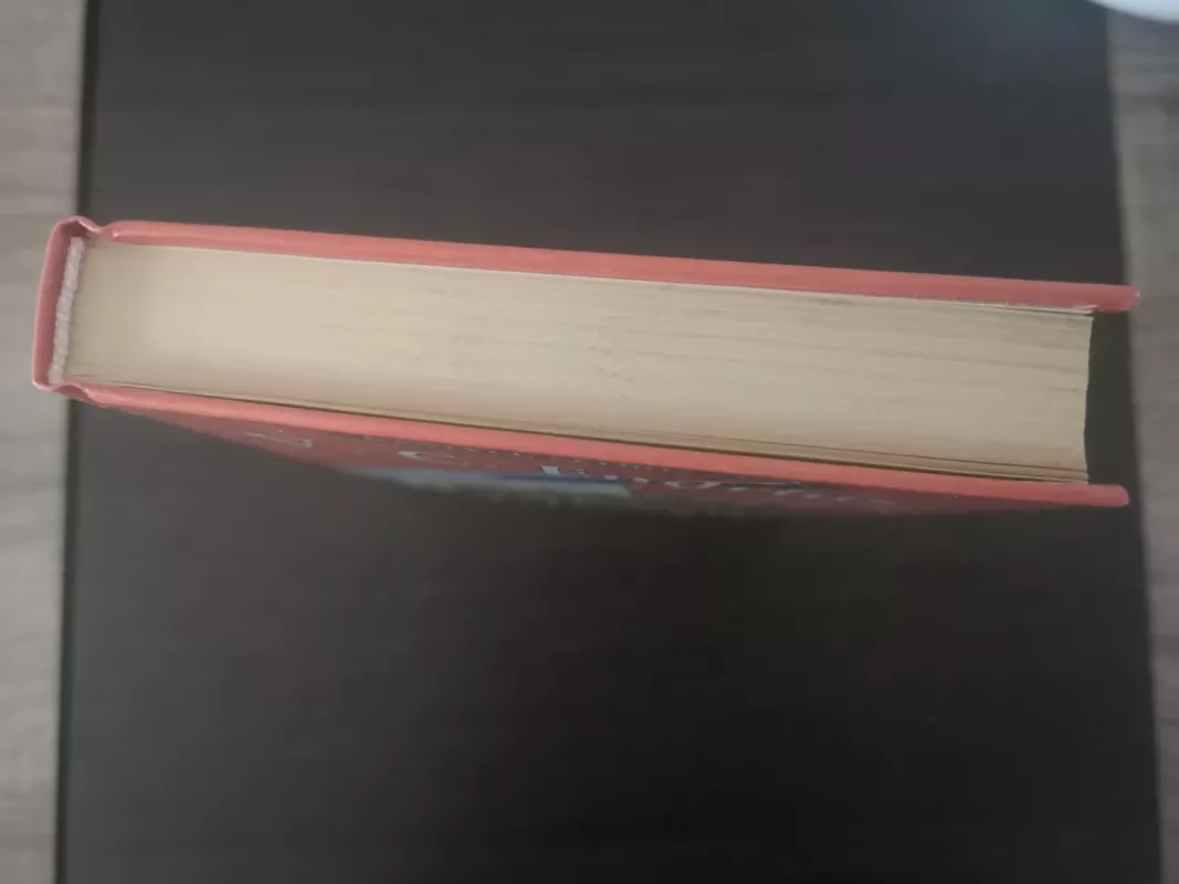 Svajonių gijos - V. C. Endrius, knyga 6