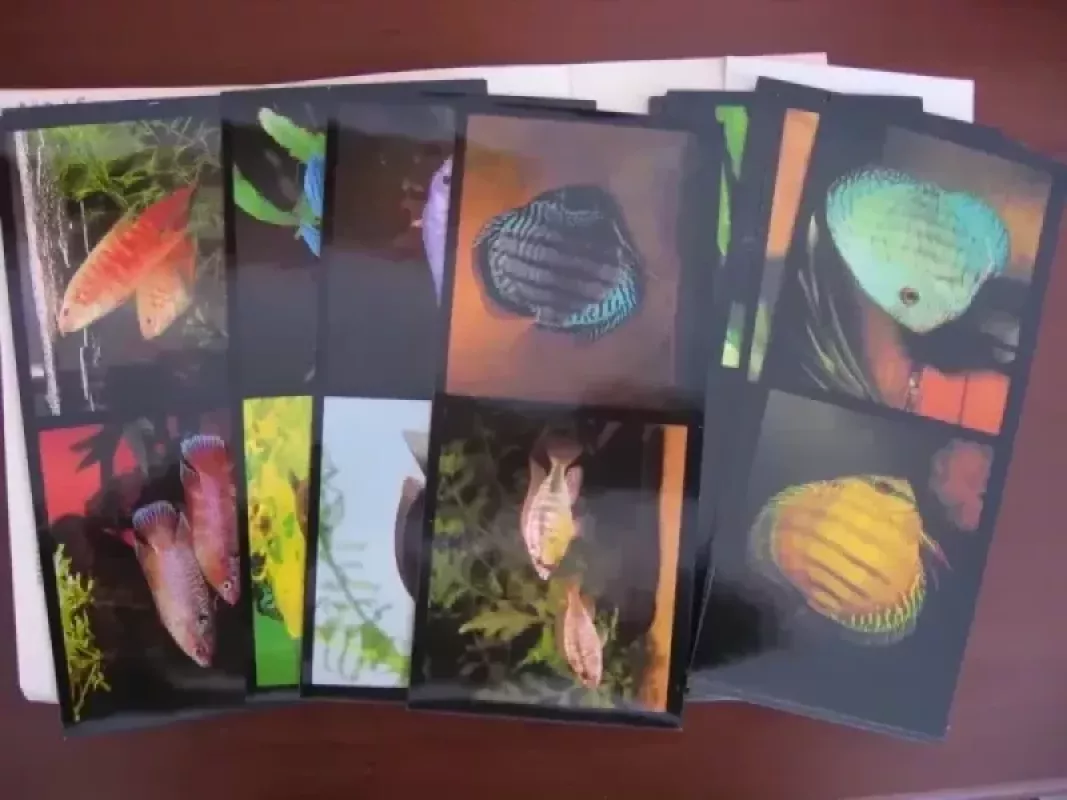 Akvariuno žuvelių kortelių rinkinys - praha, knyga 3