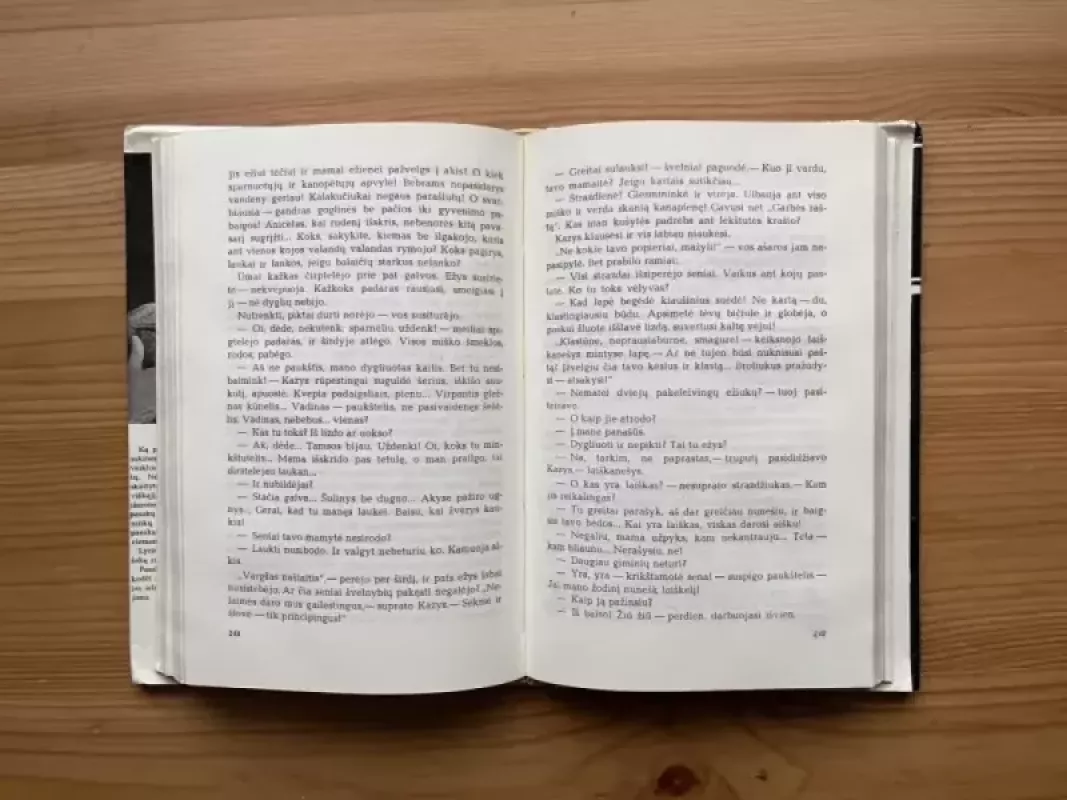 Ežys ir saulė - Mykolas Sluckis, knyga 5