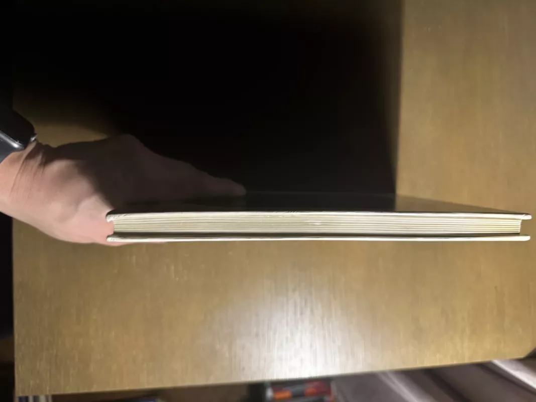 Robotas ir peteliškė - Vytautė Žilinskaitė, knyga 3