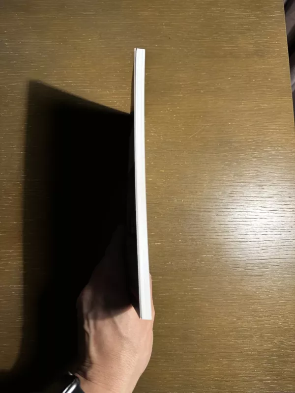 Ulisas - Džeimsas Džoisas, knyga 3