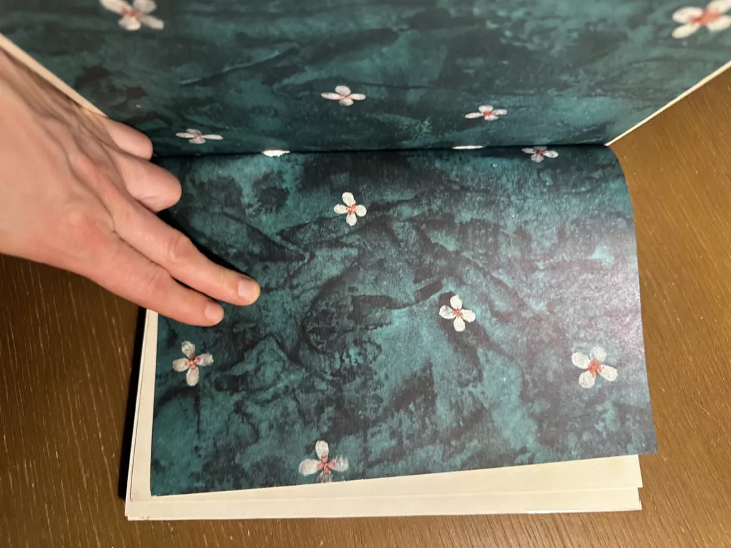 Robotas ir peteliškė - Vytautė Žilinskaitė, knyga 6