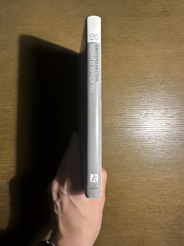 Triukšmas ir įniršis - William Faulkner, knyga 6