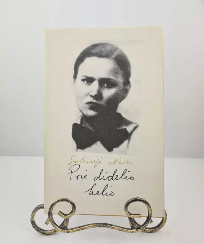 Prie didelio kelio - Salomėja Nėris, knyga 2