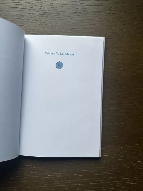 Berniukas ir žuvėdros - Vytautas Landsbergis, knyga 3