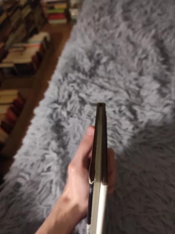 Graffiti - Liūnė Sutema, knyga 3