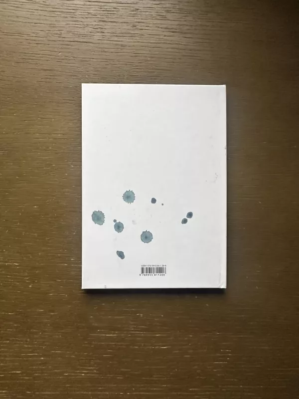 Berniukas ir žuvėdros - Vytautas Landsbergis, knyga 4