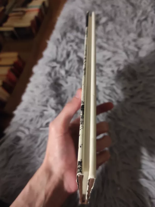 Graffiti - Liūnė Sutema, knyga 4