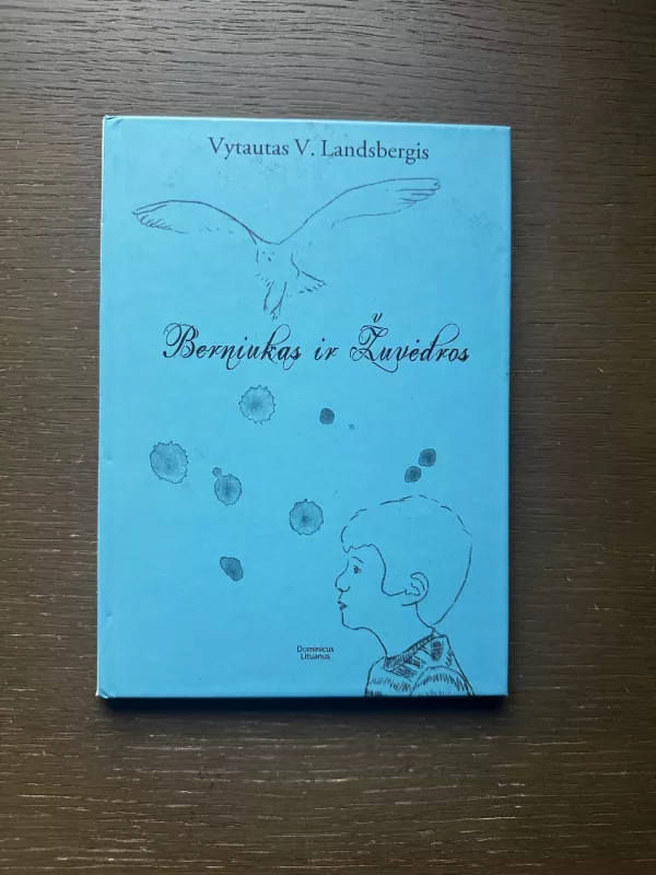 Berniukas ir žuvėdros - Vytautas Landsbergis, knyga 2