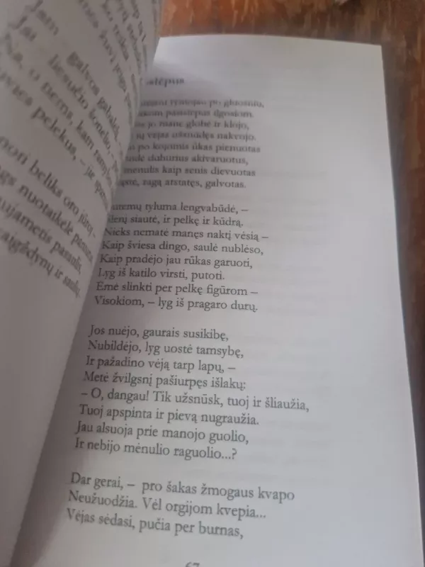 Prisilietimai - Elena Nikonovienė, knyga 4