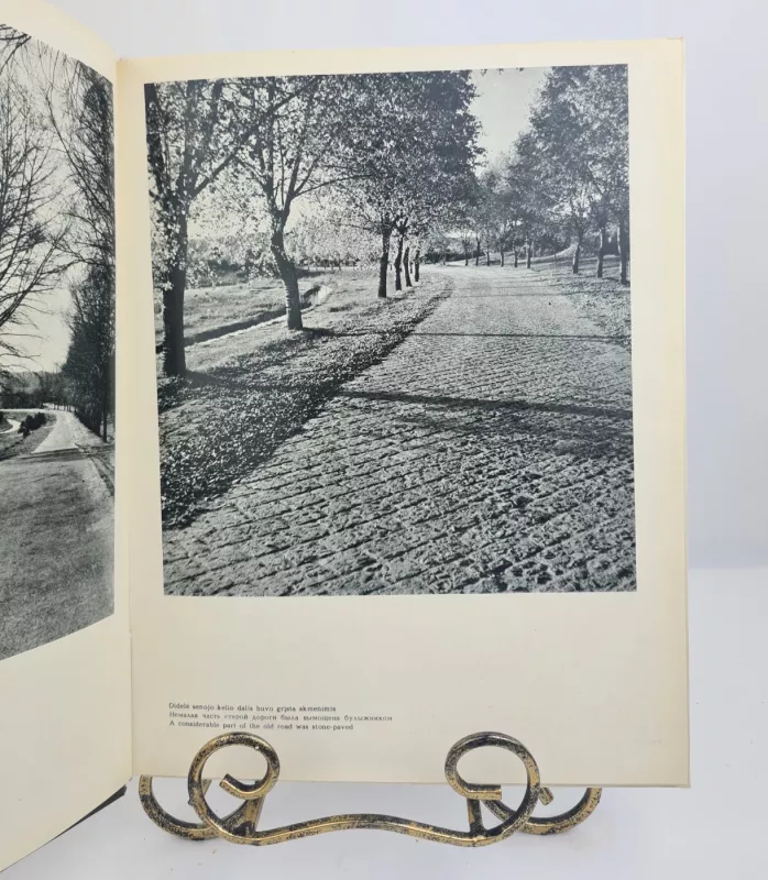 Lietuvos keliai - Pranas Bubelis, knyga 2