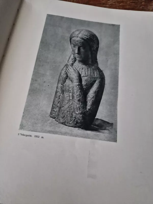 Juozas Mikėnas - Stasys Budrys, knyga 3