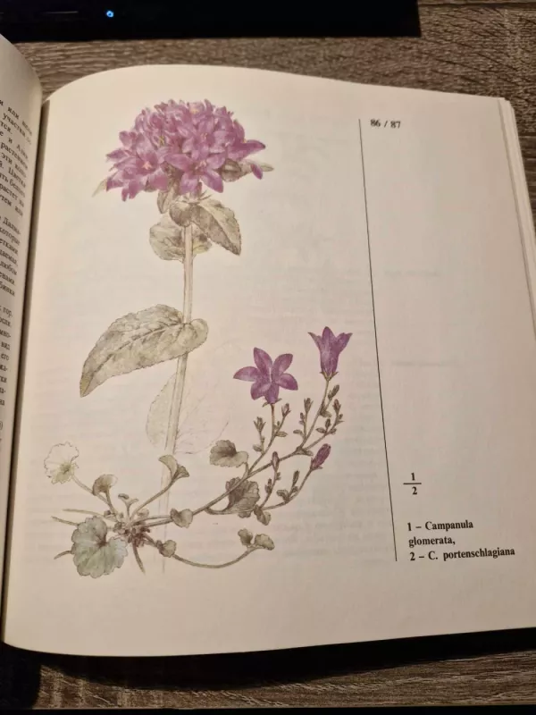 Alpinarij v vashem sadu - I. Krejcha, knyga 6