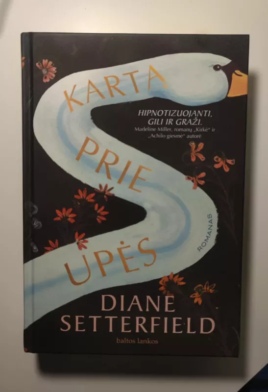 Kartą prie upės - Diane Setterfield, knyga 2