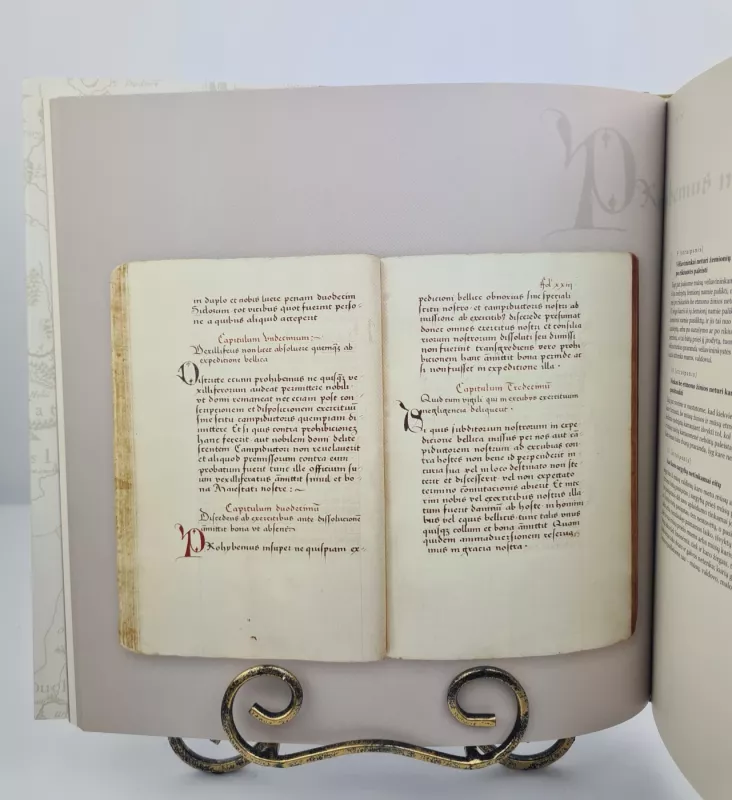 Pirmasis Lietuvos Statutas 1529m. - Autorius Nežinonamas, knyga 2