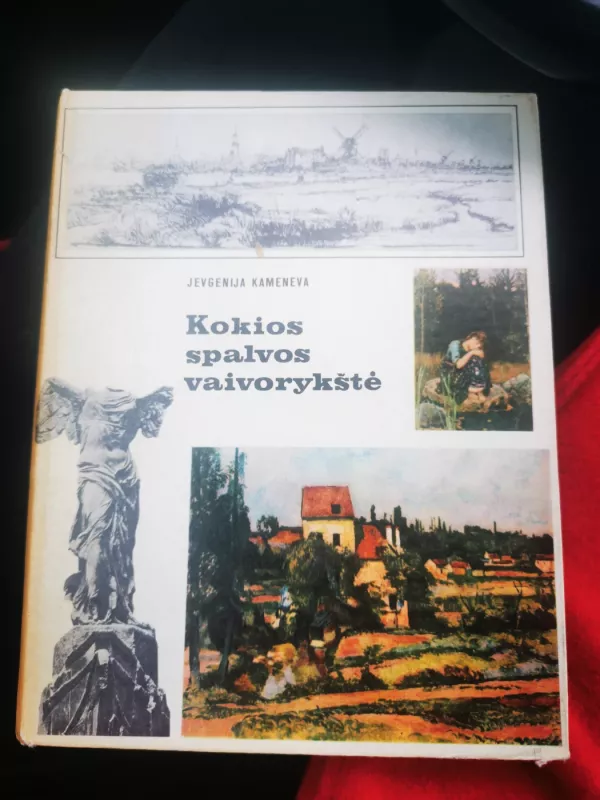 Kokios spalvos vaivorykštė - Jevgenija Kameneva, knyga 2
