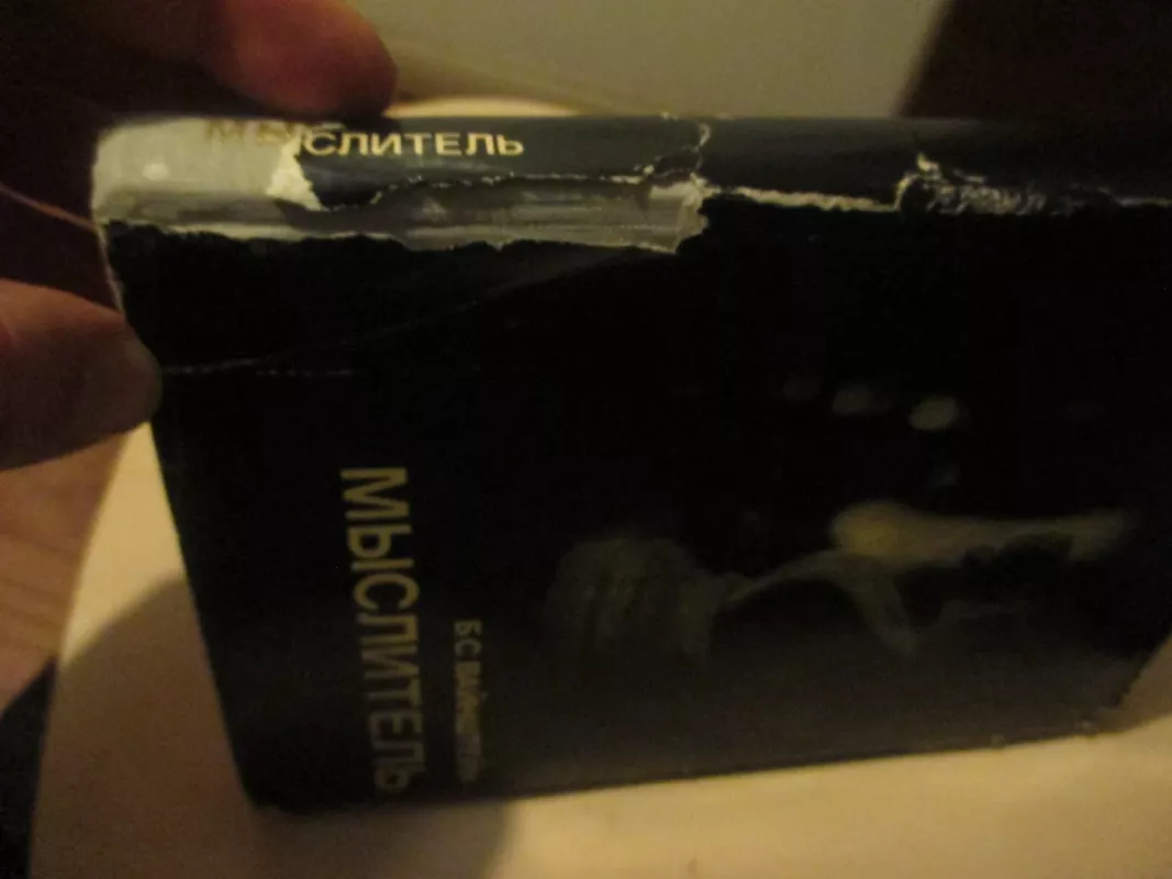 Mąstytojas - B. Vainšteinas, knyga 4