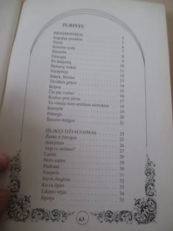 Išlikęs džiaugsmas - Donius Remys, knyga 5