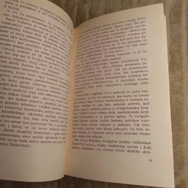 Sąmokslas I romanas - A. Gudaitis-Guzevičius, knyga 4