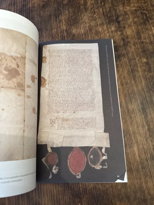 Sėlos aktai - Tomas Baranauskas, knyga 6