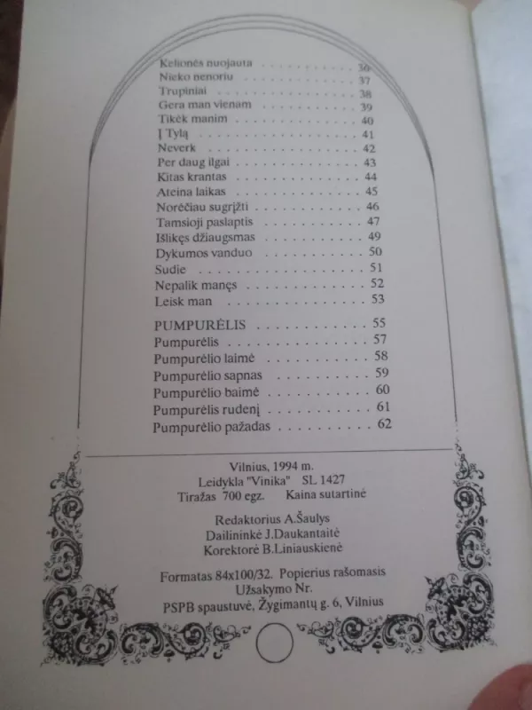 Išlikęs džiaugsmas - Donius Remys, knyga 4