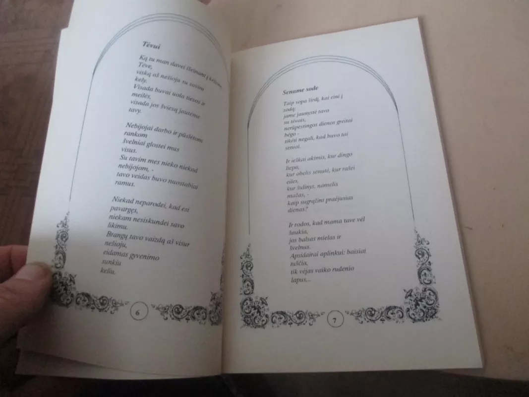 Išlikęs džiaugsmas - Donius Remys, knyga 6