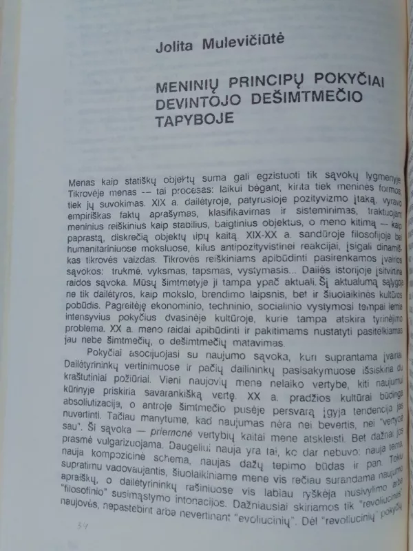 Šiuolaikinės lietuvių dailės horizontai - Autorių Kolektyvas, knyga 5