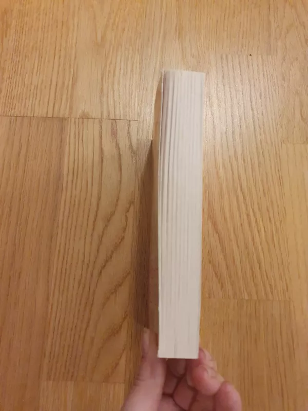 Audra širdyje - Barbara Delinsky, knyga 5