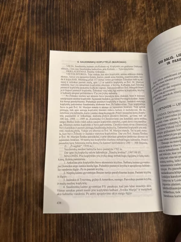 Piligrimo vadovas po  stebuklingas Marijos vietas - Robertas Gedvydas Skrinskas, knyga 6