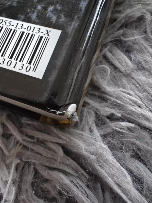 Norėčiau mokėti daryti stebuklus: Leonardo da Vinci - Michael J. Gelb, knyga 4