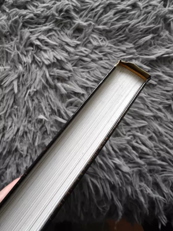 Norėčiau mokėti daryti stebuklus: Leonardo da Vinci - Michael J. Gelb, knyga 5