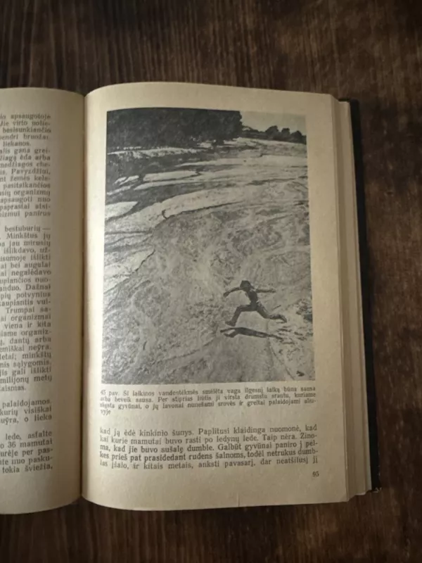 Žemės istorija - Ričardas Fosteris Flintas, knyga 4