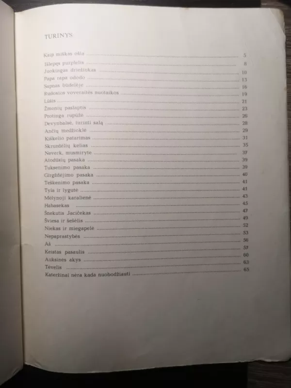 Neverk, musmirytė - Deizė Mrazkova, knyga 4