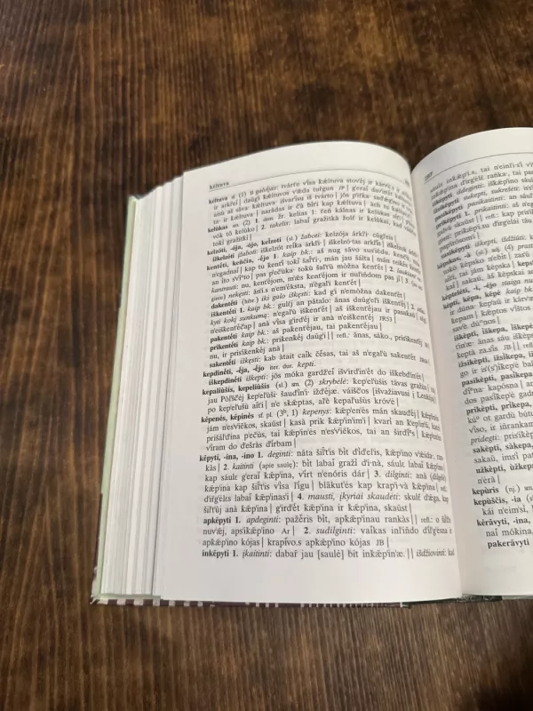 Zietelos šnektos žodynas - Aloyzas Vidugiris, knyga 5